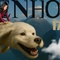 IRRENHOUSE – Eintrittskarte